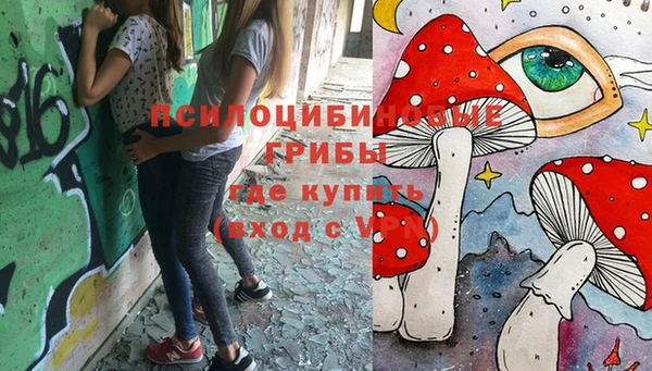 мдпв Армянск