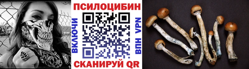 Псилоцибиновые грибы MAGIC MUSHROOMS  Пучеж 
